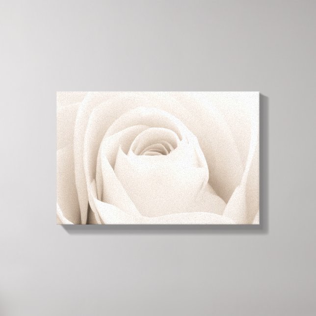 Close up of White Rose Petals Canvas Print (Front)