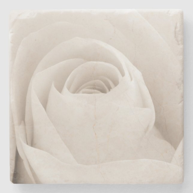 Close up of White Rose Petals Stone Coaster (Front)