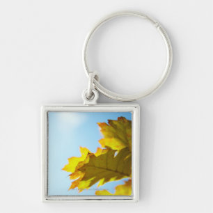 Close Up of Yellow Fall Leaves Key Ring