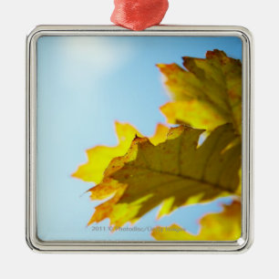 Close Up of Yellow Fall Leaves Metal Tree Decoration