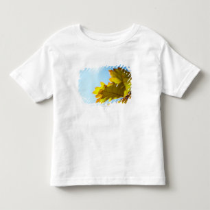 Close Up of Yellow Fall Leaves Toddler T-Shirt