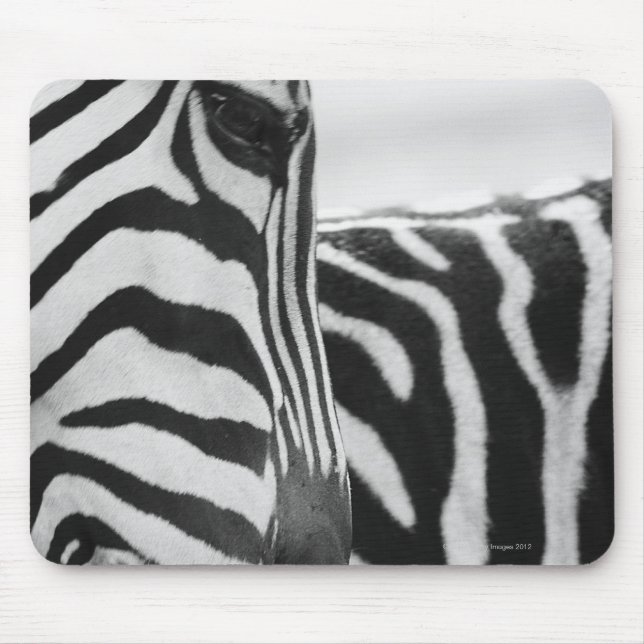 Close-up of zebra face and shoulder mouse mat (Front)