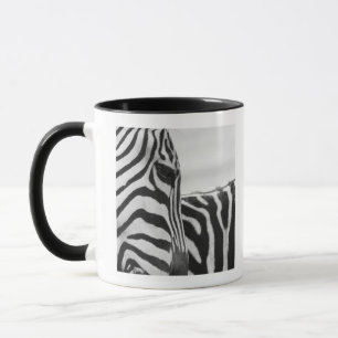 Close-up of zebra face and shoulder mug
