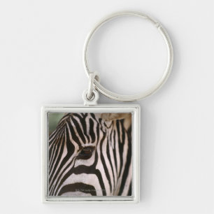 Close-up of zebra's head key ring