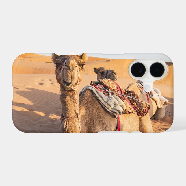 Close-up on Camel in Oman desert (Back (Horizontal))