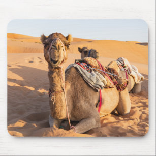 Close-up on Camel in Oman desert Mouse Mat