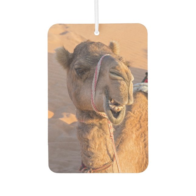 Close-up on funny camel head in Oman Wahiba desert Car Air Freshener (Front)