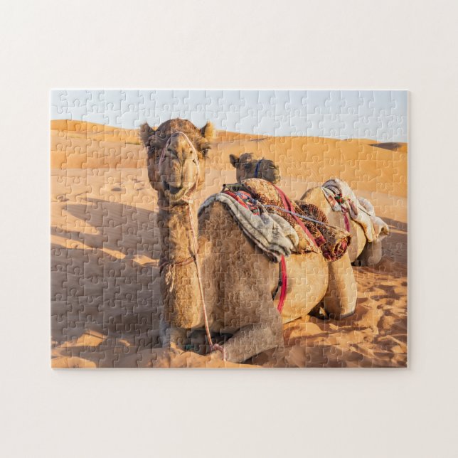 Close-up on funny camel in Oman Wahiba desert Jigsaw Puzzle (Horizontal)