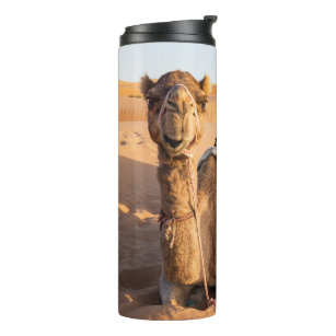 Close-up on funny camel in Oman Wahiba desert Thermal Tumbler