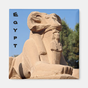 Close-up on ram-headed Sphinx in Karnak Temple Magnet