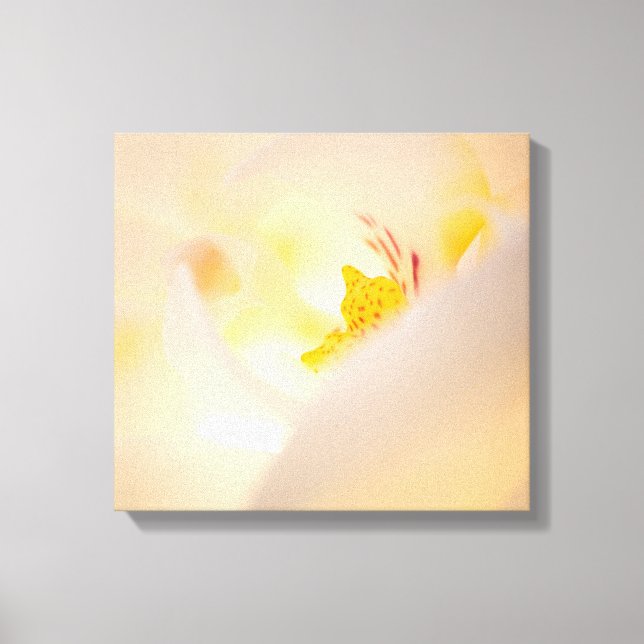 Close up orchid macro stunning flower canvas print (Front)