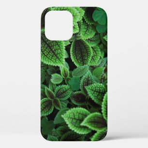CLOSE UP PHOTO OF GREEN LEAFED PLANT iPhone 12 CASE