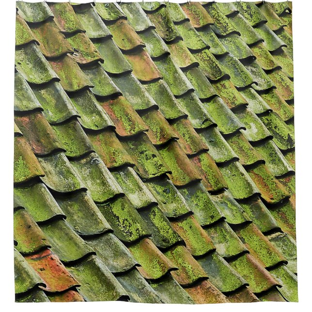 Close-up photo of green shingle roof shower curtain (Front)