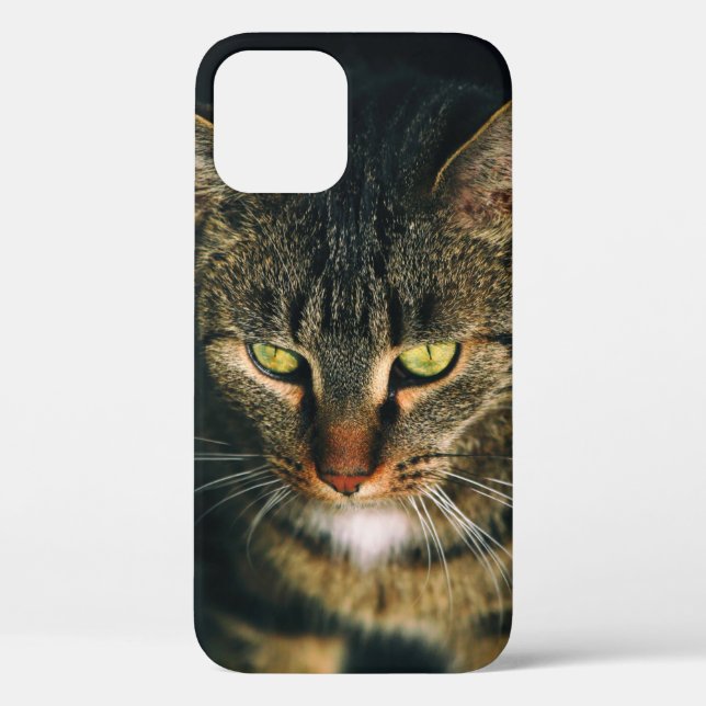 CLOSE-UP PHOTOGRAPHY OF GRAY TABBY CAT Case-Mate iPhone CASE (Back)