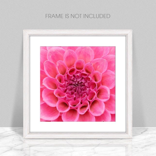 Close-Up Pink Flower Poster (Creator Uploaded)
