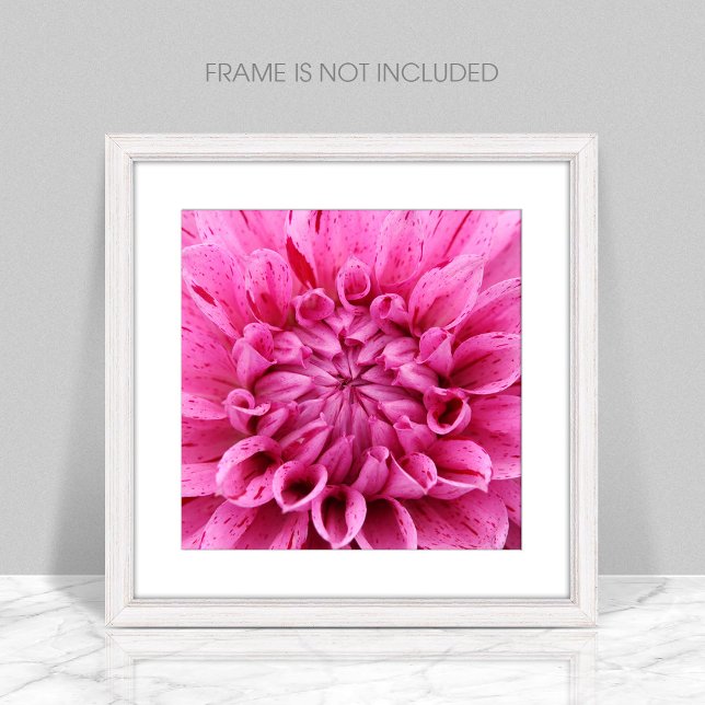 Close-Up Pink Flower Poster (Creator Uploaded)