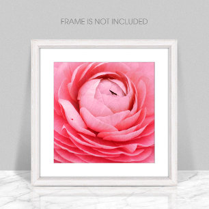Close-Up Pink Flower Poster