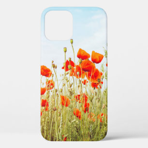 Close up poppies on field. Wild flowers in springt iPhone 12 Case
