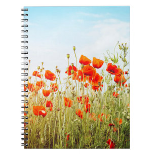 Close up poppies on field. Wild flowers in springt Notebook