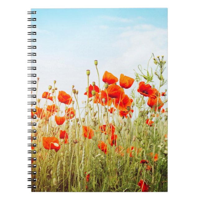 Close up poppies on field. Wild flowers in springt Notebook (Front)