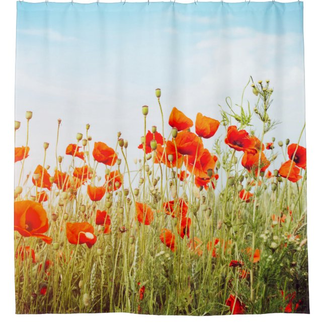 Close up poppies on field. Wild flowers in springt Shower Curtain (Front)