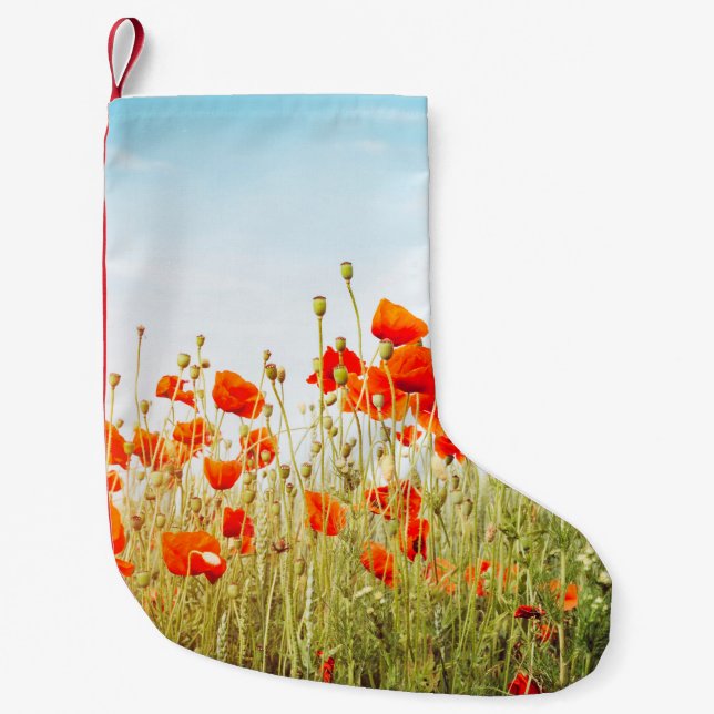 Close up poppies on field. Wild flowers in springt Small Christmas Stocking (Front)