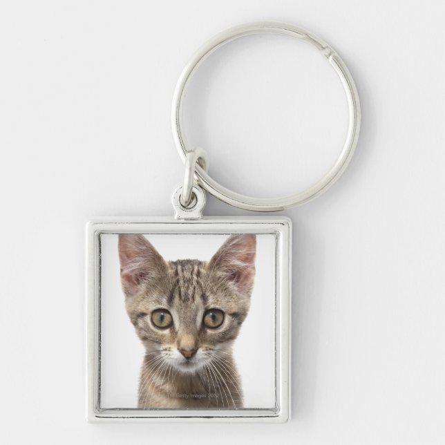 Close up portrait of a kitten key ring (Front)