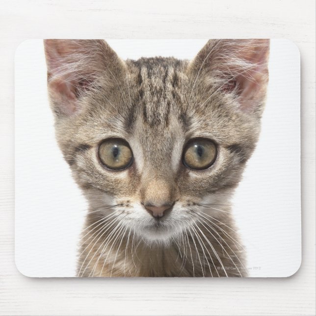 Close up portrait of a kitten mouse mat (Front)