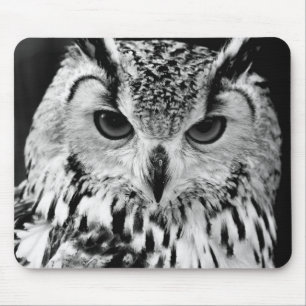 Close Up Portrait Of Eurasian Eagle-owl Mouse Mat