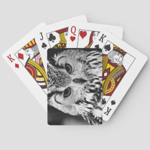 Close Up Portrait Of Eurasian Eagle-owl Playing Cards