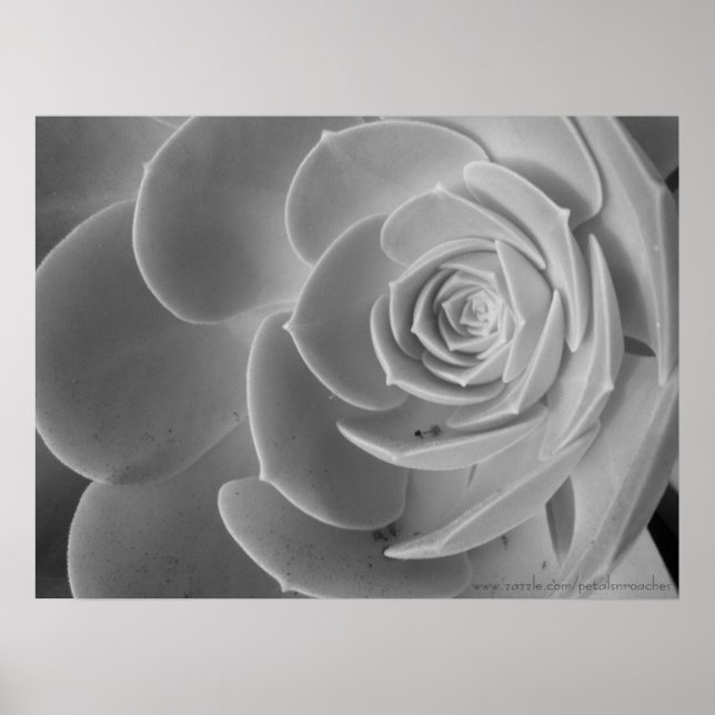 Close-Up Poster (Front)