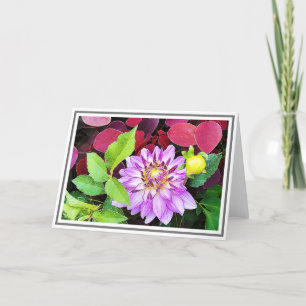 Close-up Purple Dahlia Green & Red Foliage Card