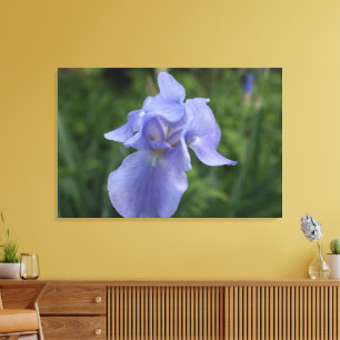 Close-up Purple Iris Flower Canvas