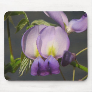 Close- Up Purple Wisteria Mouse Mat
