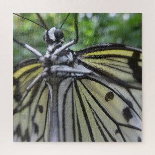 Close up Puzzle: Black and White Butterfly Jigsaw Puzzle