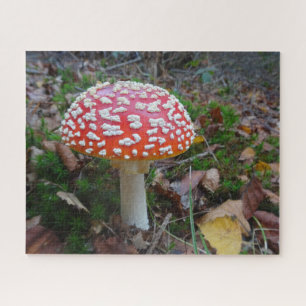 Close Up Puzzle: Cute Fly Amanita Jigsaw Puzzle