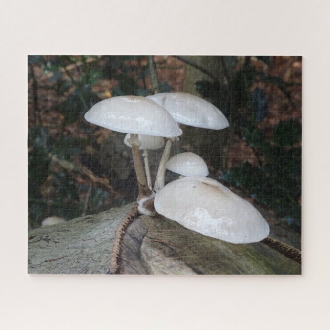 Close Up Puzzle: Cute Porcelain Mushrooms on Trunk Jigsaw Puzzle (Horizontal)