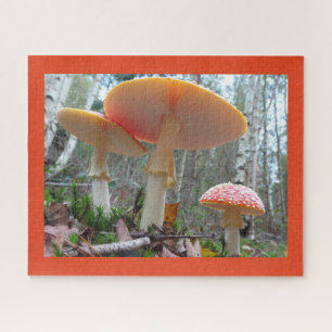 Close Up Puzzle: Fly Amanitas with Cust. Border Jigsaw Puzzle