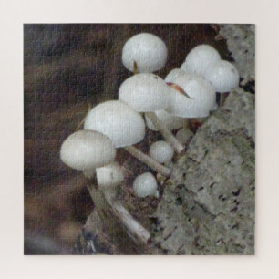 Close Up Puzzle: Porcelain Mushrooms Jigsaw Puzzle