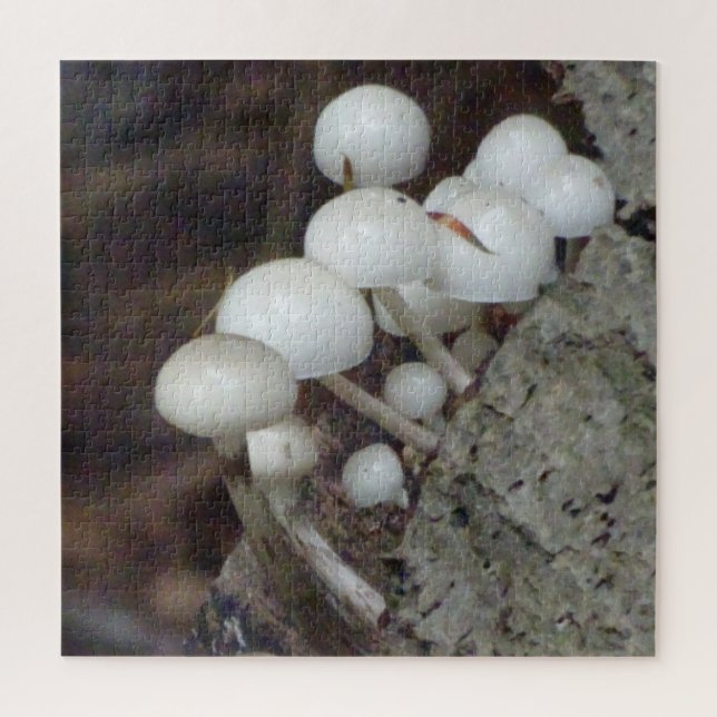 Close Up Puzzle: Porcelain Mushrooms Jigsaw Puzzle (Vertical)