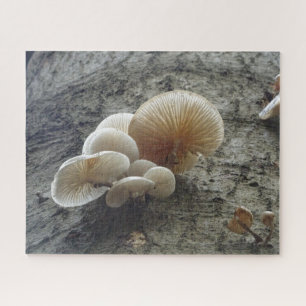 Close Up Puzzle: Porcelain Mushrooms on Tree Jigsaw Puzzle