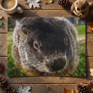 Close Up Realistic Groundhog Face Whiskers Photo Postcard