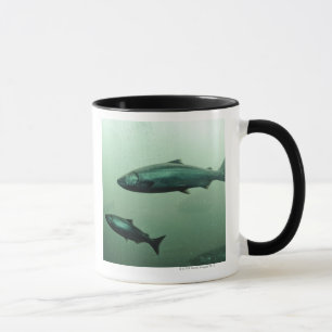 Close up shot of salmon running mug