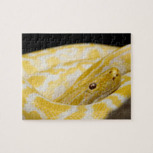 Close-up Snake Photo Jigsaw Puzzle