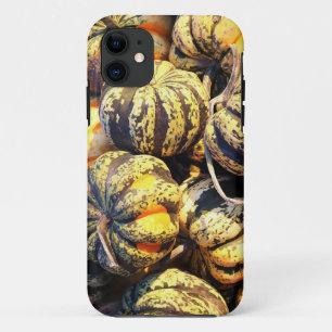 Close Up Stripey Pumpkins iPhone 11 Case