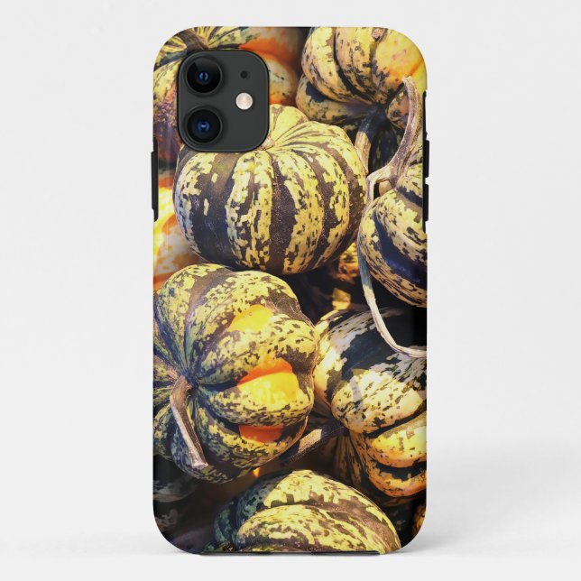 Close Up Stripey Pumpkins  Case-Mate iPhone Case (Back)