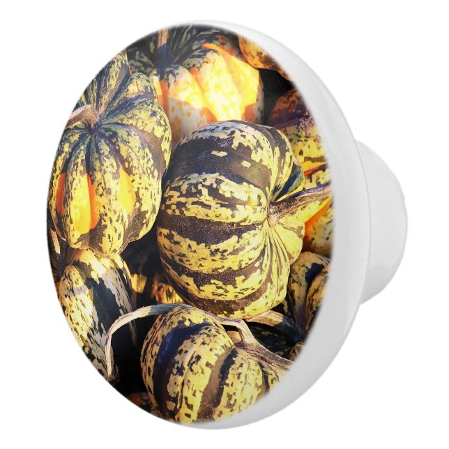 Close Up Stripey Pumpkins  Ceramic Knob (Right)