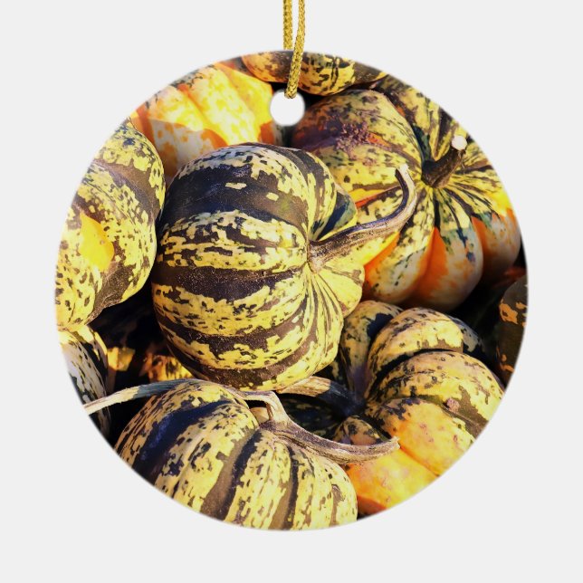 Close Up Stripey Pumpkins  Ceramic Tree Decoration (Front)