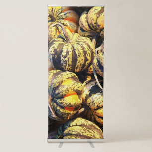 Close Up Stripey Pumpkins Retractable Banner