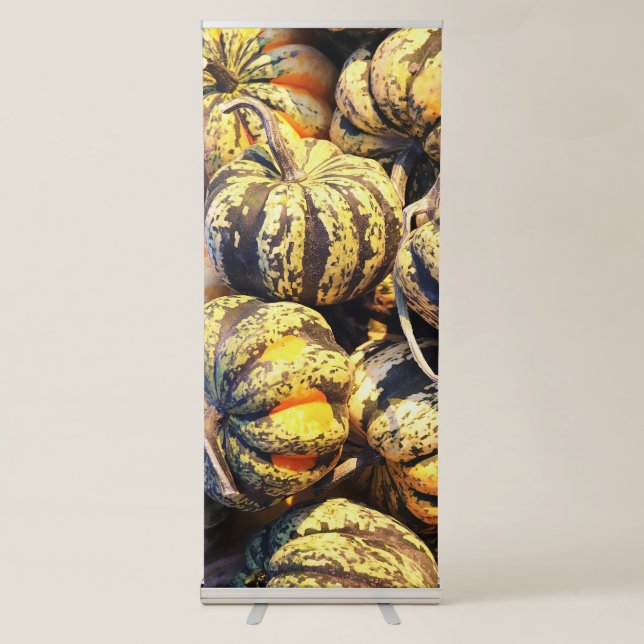 Close Up Stripey Pumpkins  Retractable Banner (Front)